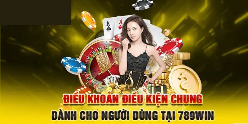 Điều khoản điều kiện 789WIN dành cho người dùng