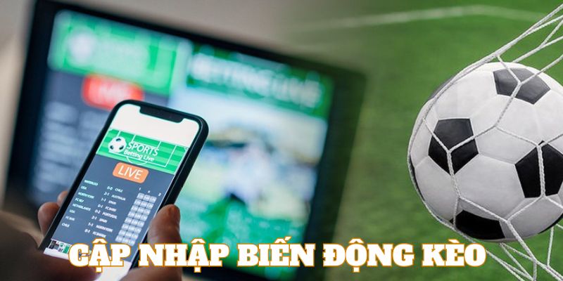 Kinh nghiệm cược bóng đá - Cập nhập biến động kèo suốt trận đấu