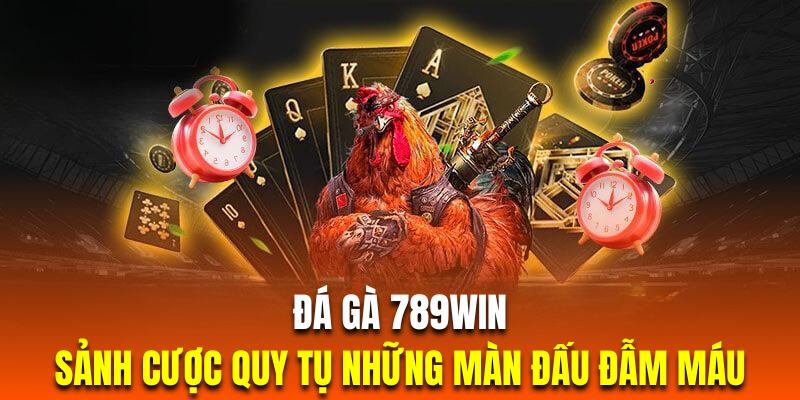 Chiêm ngưỡng những màn thi đấu gay cấn, kịch tính ngay tại sảnh đá gà 789WIN